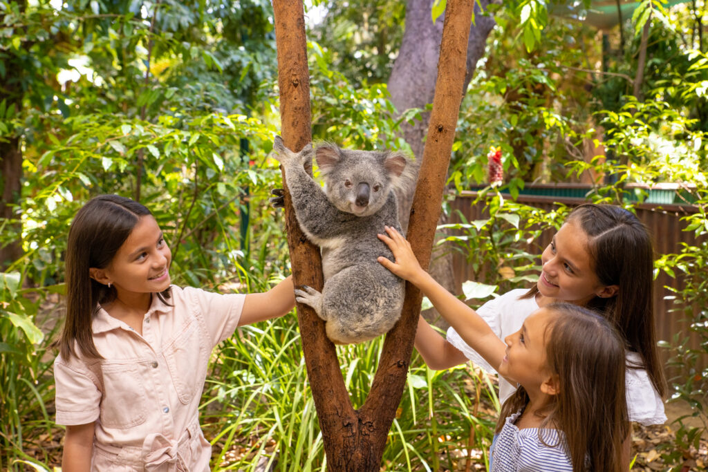 Currumbin Wildlife